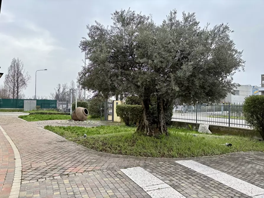 Immagine 3 di Capannone industriale in vendita  a Carpi