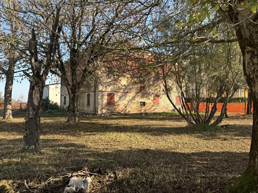 Immagine 2 di Rustico / casale in vendita  a Soliera