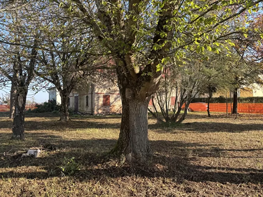 Immagine 4 di Rustico / casale in vendita  a Soliera