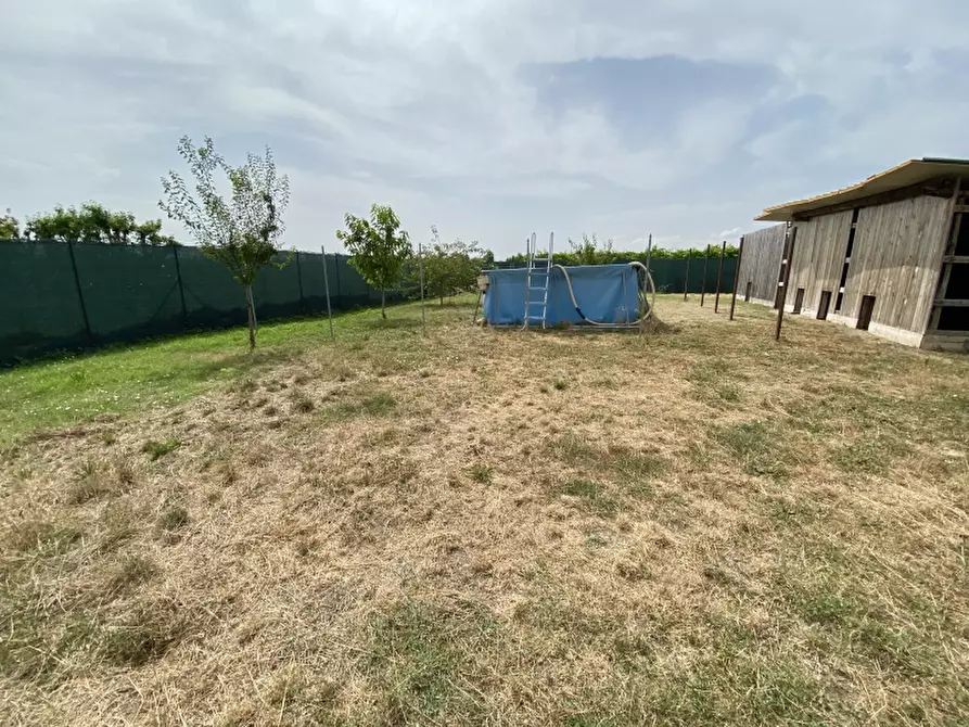 Immagine 6 di Appartamento in vendita  a Soliera