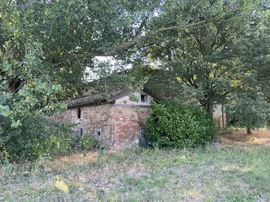 Immagine 9 di Appartamento in vendita  a Campogalliano