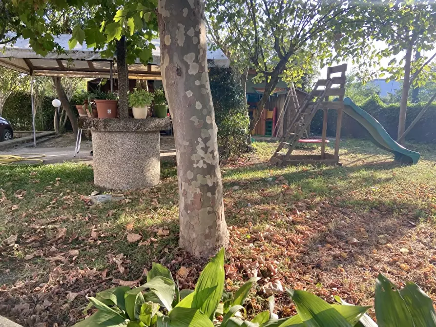 Immagine 20 di Appartamento in vendita  a Soliera