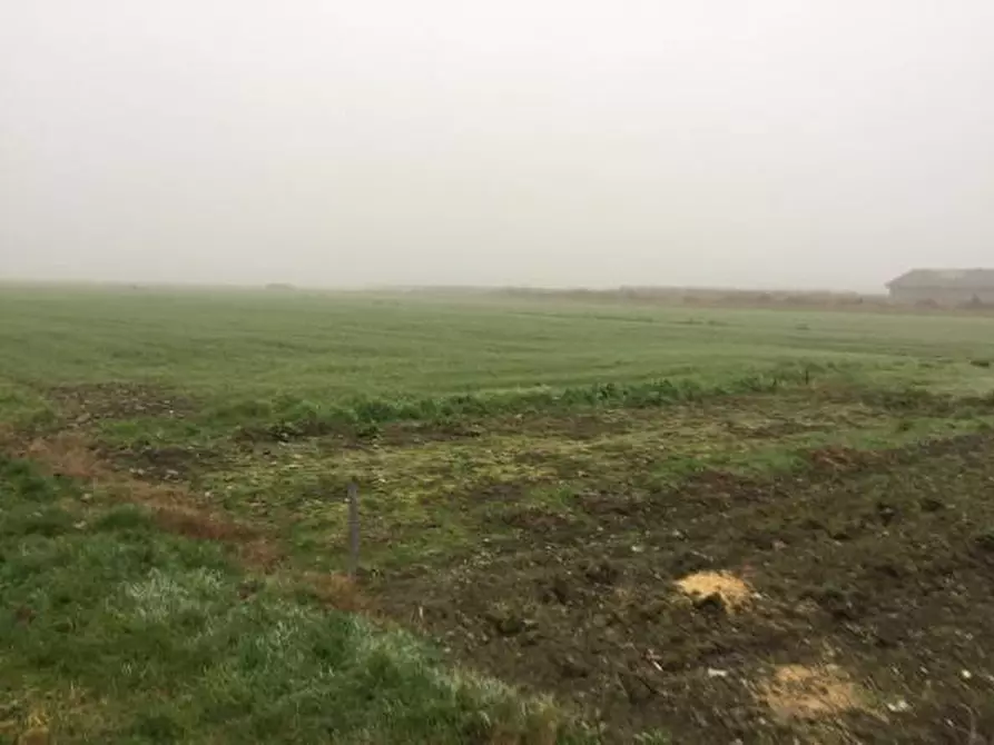 Immagine 10 di Terreno agricolo in vendita  in Via Carpi Ravarino 614 a Soliera