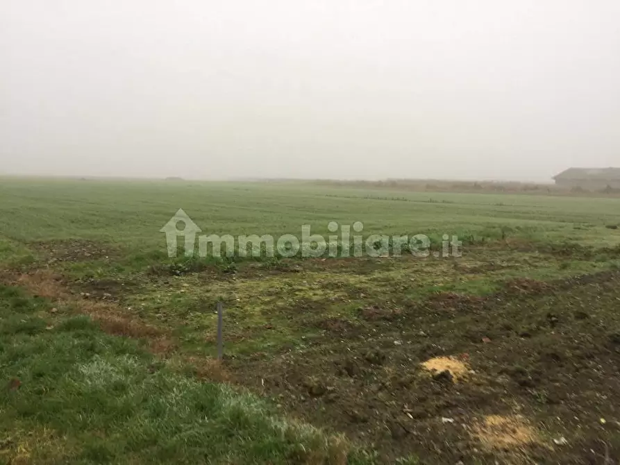 Immagine 7 di Terreno agricolo in vendita  in Via Carpi Ravarino 614 a Soliera