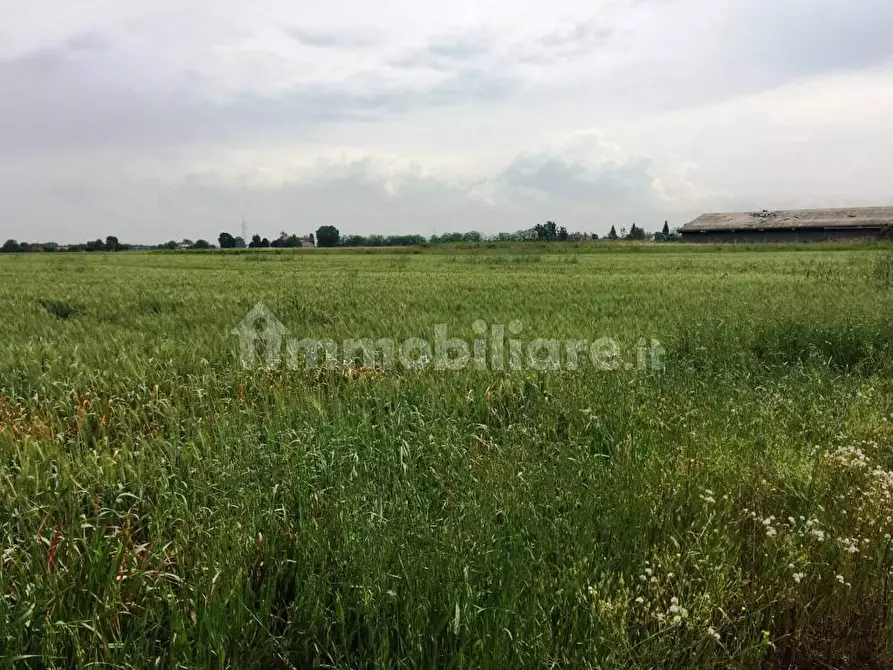 Immagine 11 di Terreno agricolo in vendita  in Via Carpi Ravarino 613 a Soliera