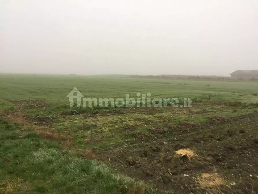 Immagine 12 di Terreno agricolo in vendita  in Via Carpi Ravarino 613 a Soliera