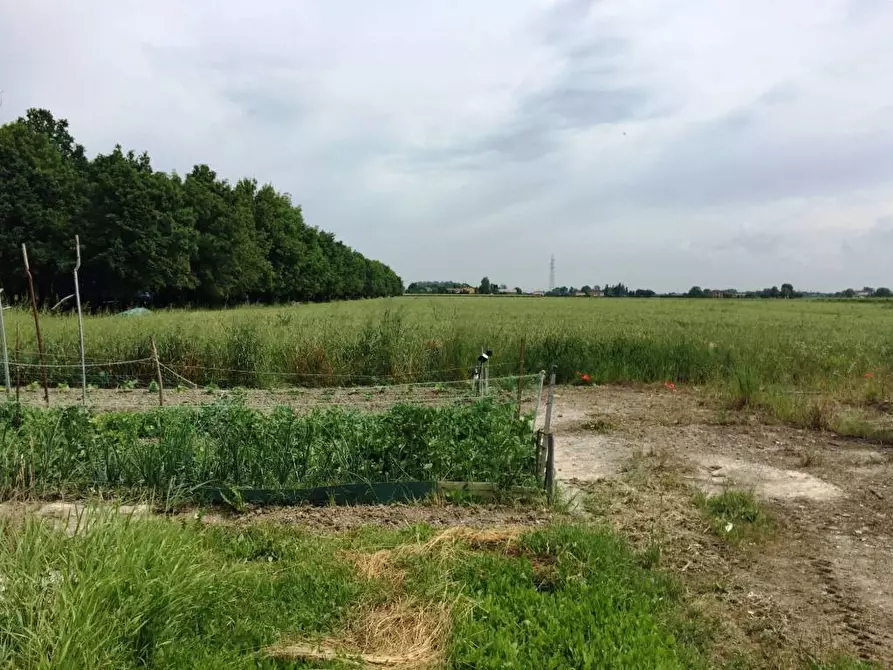 Immagine 13 di Terreno agricolo in vendita  in Via Carpi Ravarino 613 a Soliera