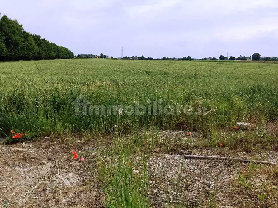 Immagine 14 di Terreno agricolo in vendita  in Via Carpi Ravarino 613 a Soliera