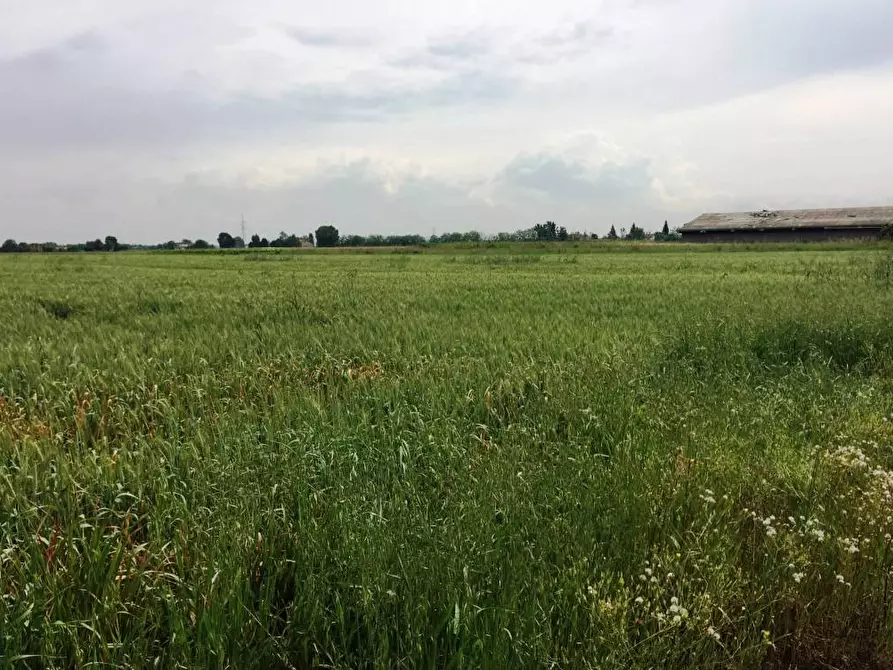 Immagine 17 di Terreno agricolo in vendita  in Via Carpi Ravarino 613 a Soliera