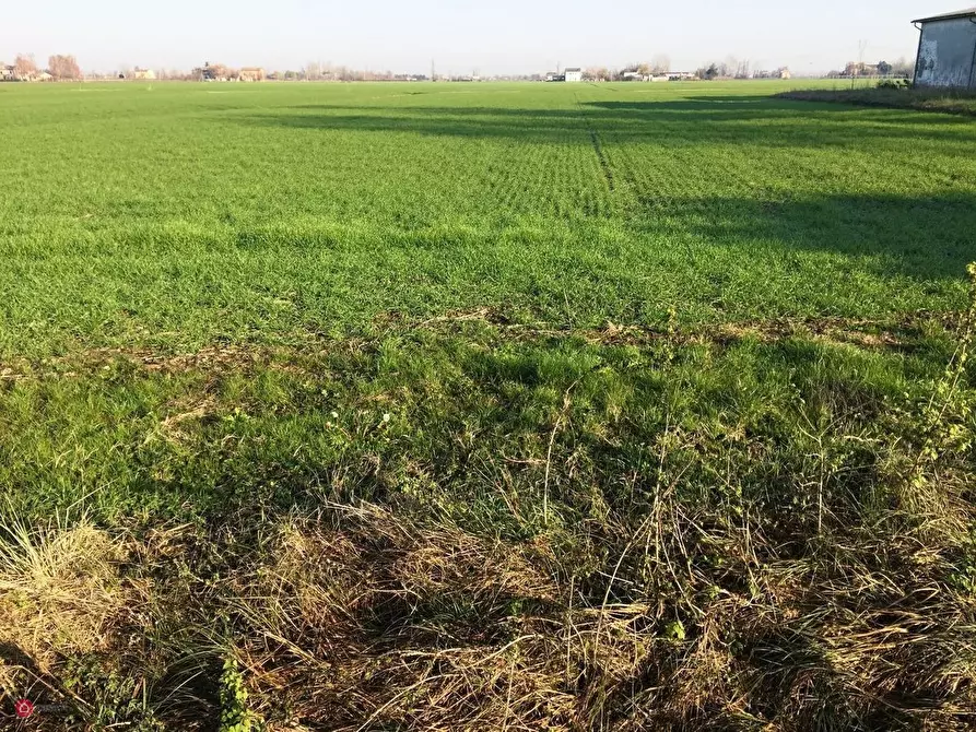 Immagine 1 di Rustico / casale in vendita  in canalvecchio a Carpi