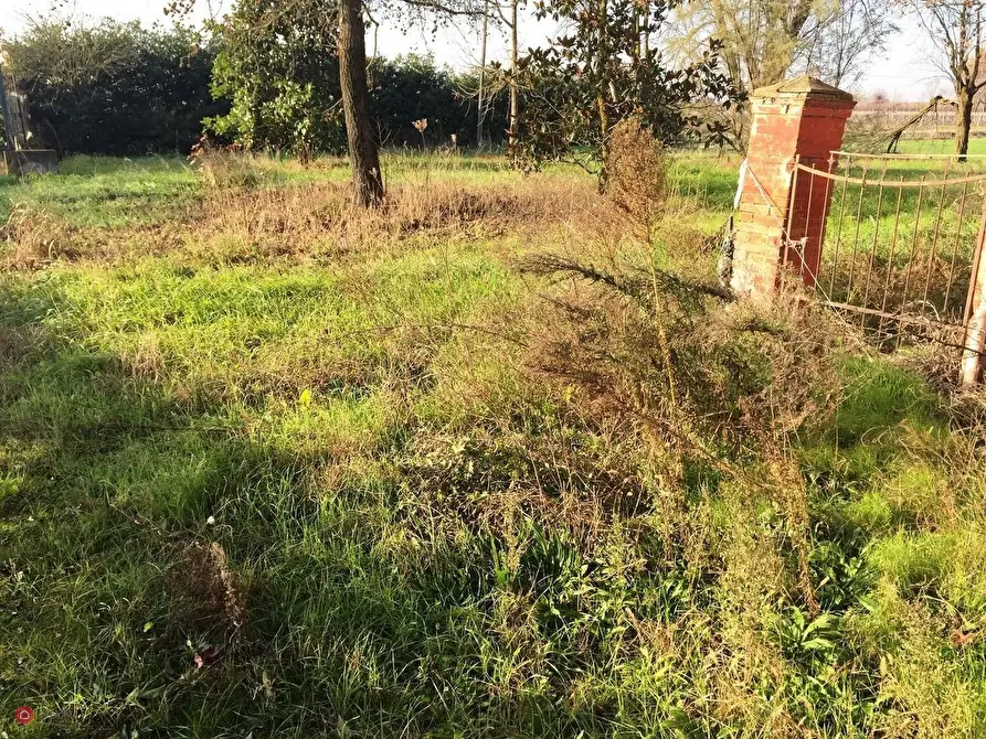 Immagine 2 di Rustico / casale in vendita  in canalvecchio a Carpi