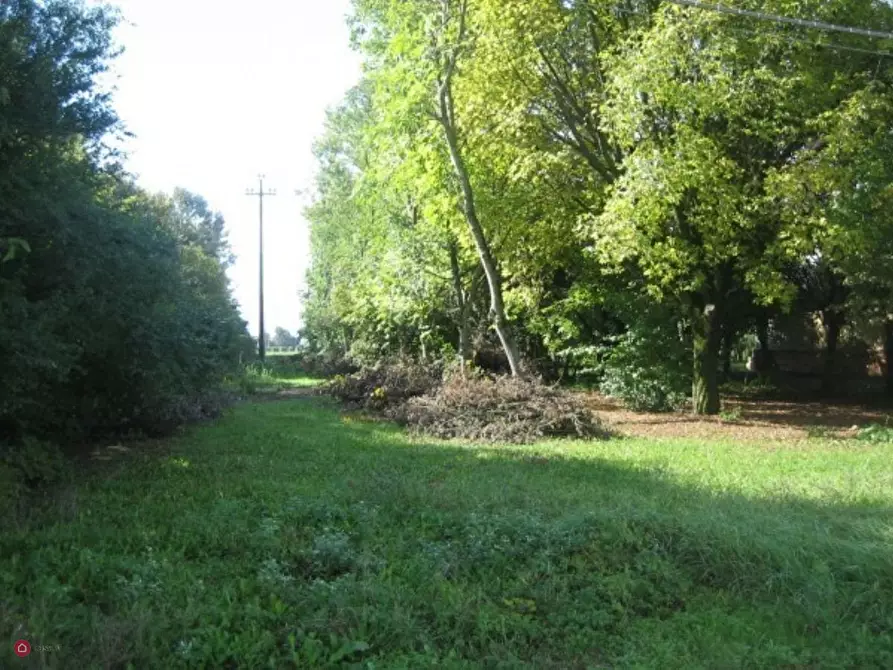 Immagine 4 di Rustico / casale in vendita  in Via carpi ravarino 614 a Soliera