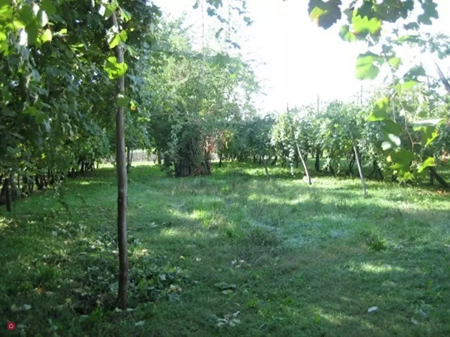 Immagine 7 di Rustico / casale in vendita  in Via carpi ravarino 614 a Soliera