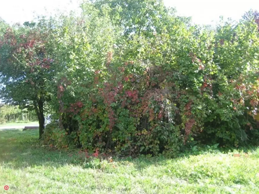 Immagine 9 di Rustico / casale in vendita  in Via carpi ravarino 614 a Soliera