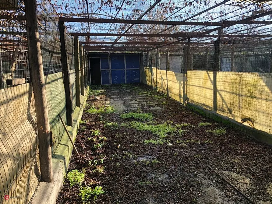 Immagine 2 di Terreno residenziale in vendita  in grandi a Soliera