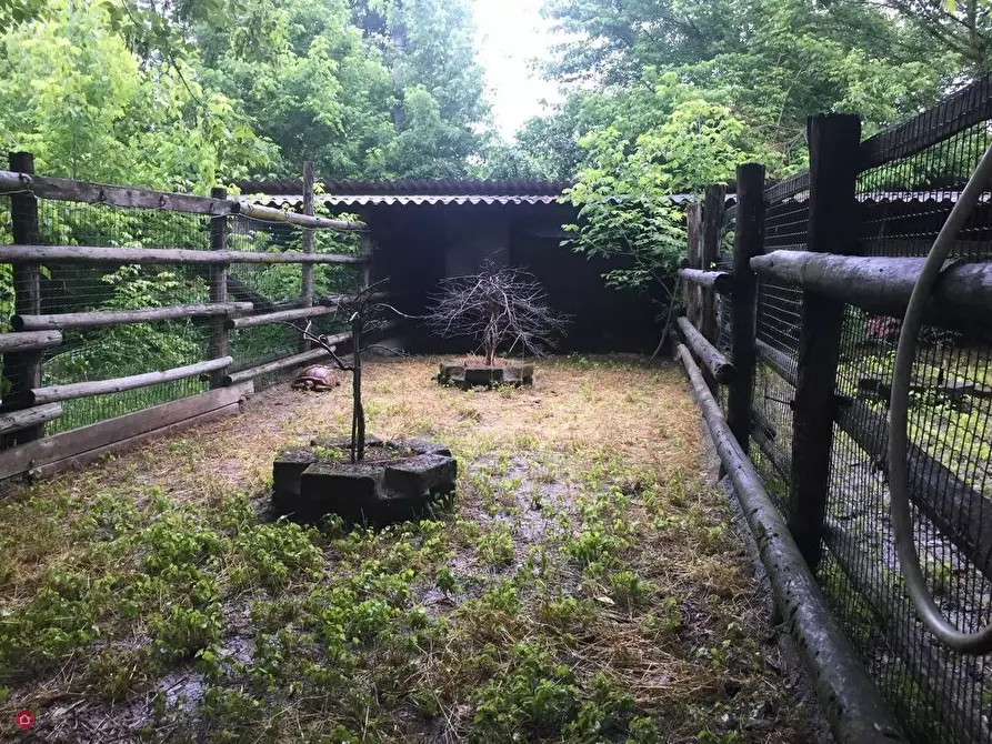 Immagine 3 di Terreno residenziale in vendita  in grandi a Soliera
