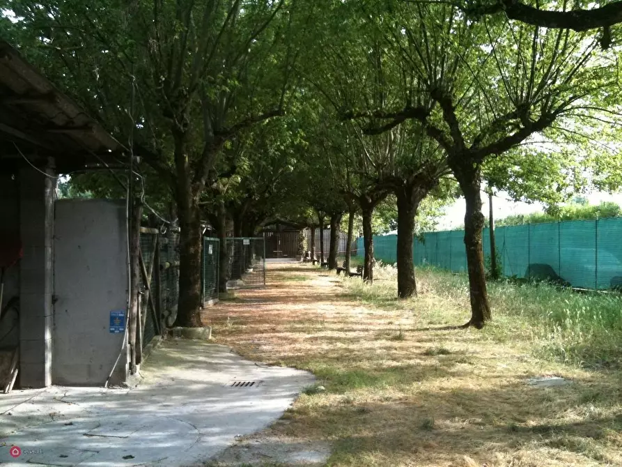 Immagine 4 di Terreno residenziale in vendita  in grandi a Soliera