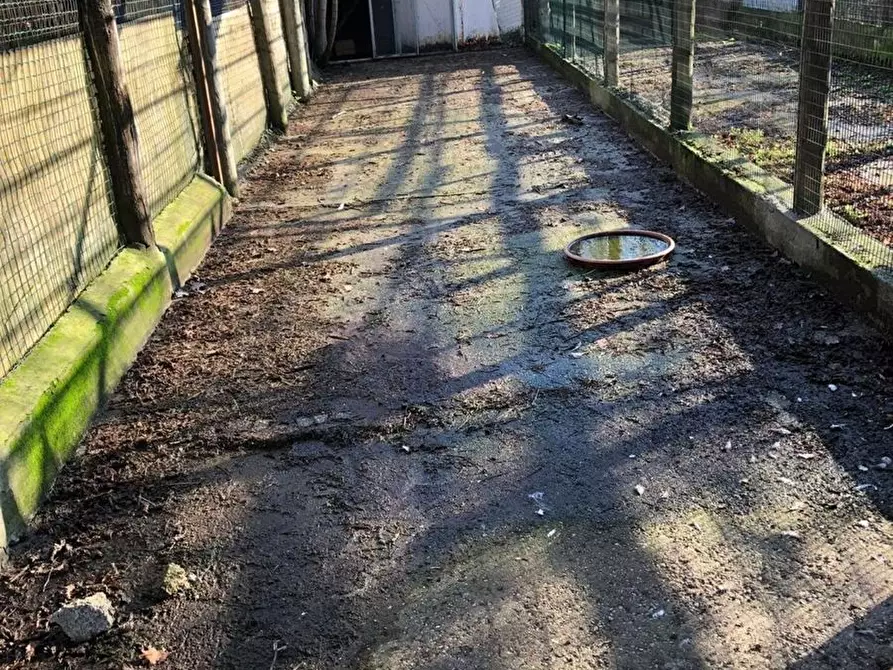 Immagine 5 di Terreno residenziale in vendita  in grandi a Soliera