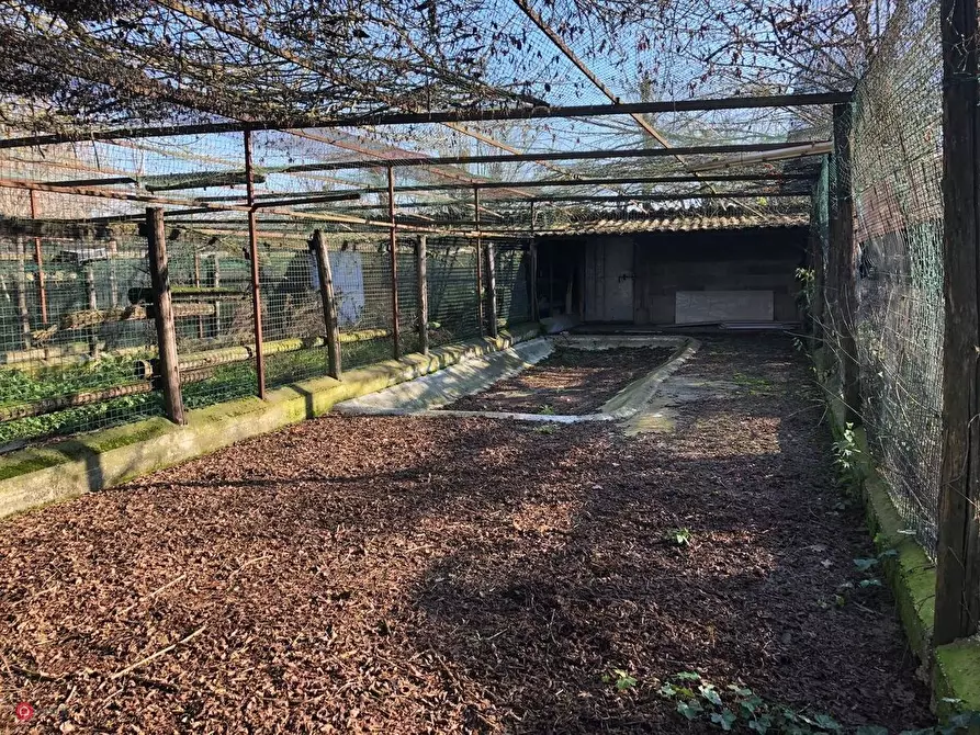 Immagine 6 di Terreno residenziale in vendita  in grandi a Soliera