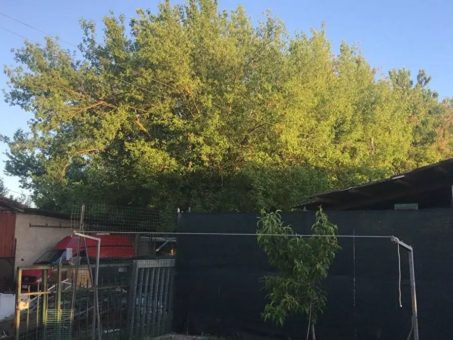 Immagine 7 di Terreno residenziale in vendita  in grandi a Soliera