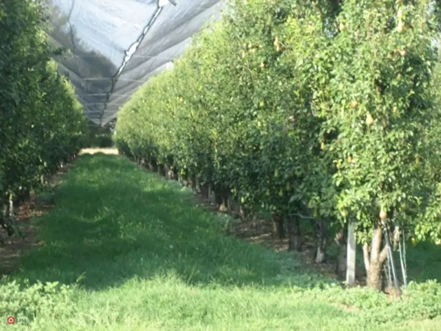 Immagine 10 di Terreno agricolo in vendita  in Via Carpi Ravarino 619 a Soliera