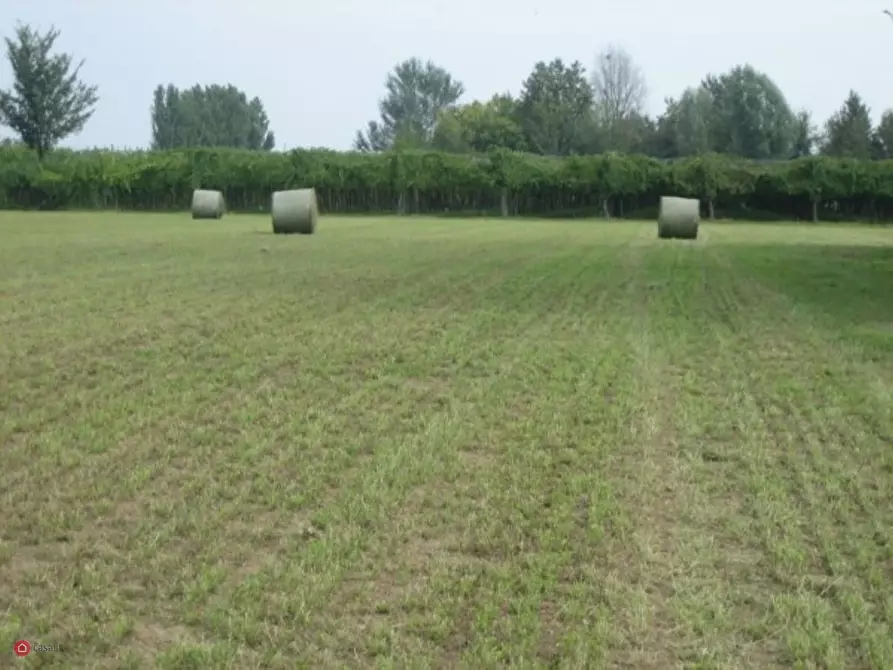 Immagine 3 di Terreno agricolo in vendita  in Via Carpi Ravarino 619 a Soliera
