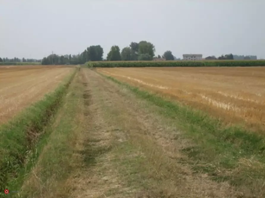Immagine 4 di Terreno agricolo in vendita  in Via Carpi Ravarino 619 a Soliera