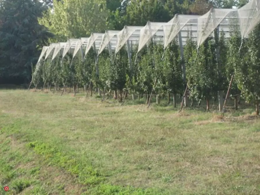 Immagine 6 di Terreno agricolo in vendita  in Via Carpi Ravarino 619 a Soliera