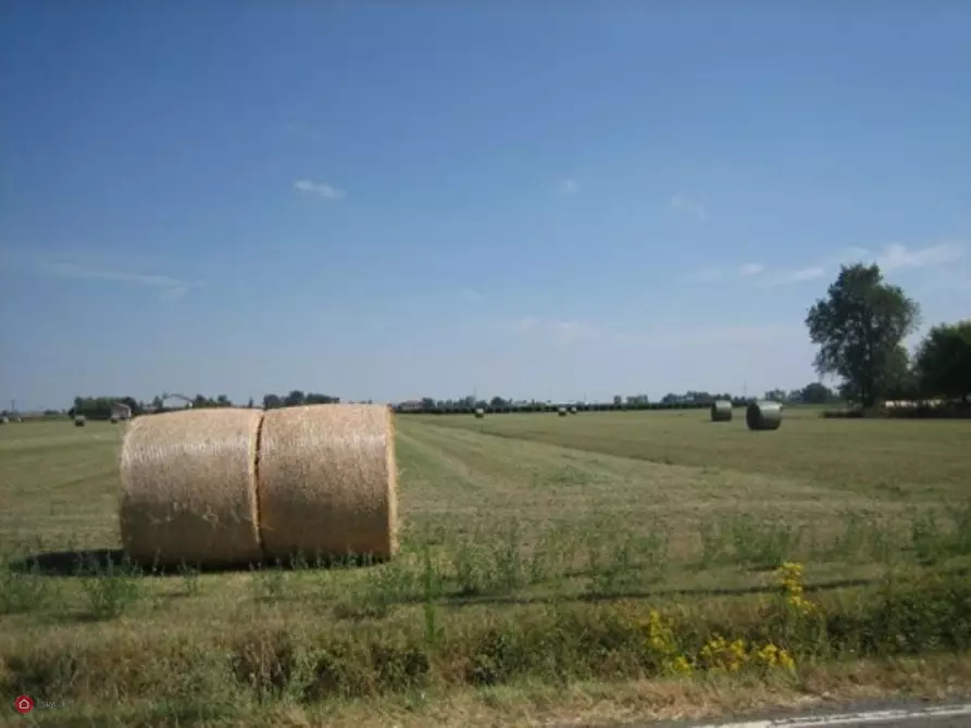 Immagine 9 di Terreno agricolo in vendita  in Via Carpi Ravarino 619 a Soliera