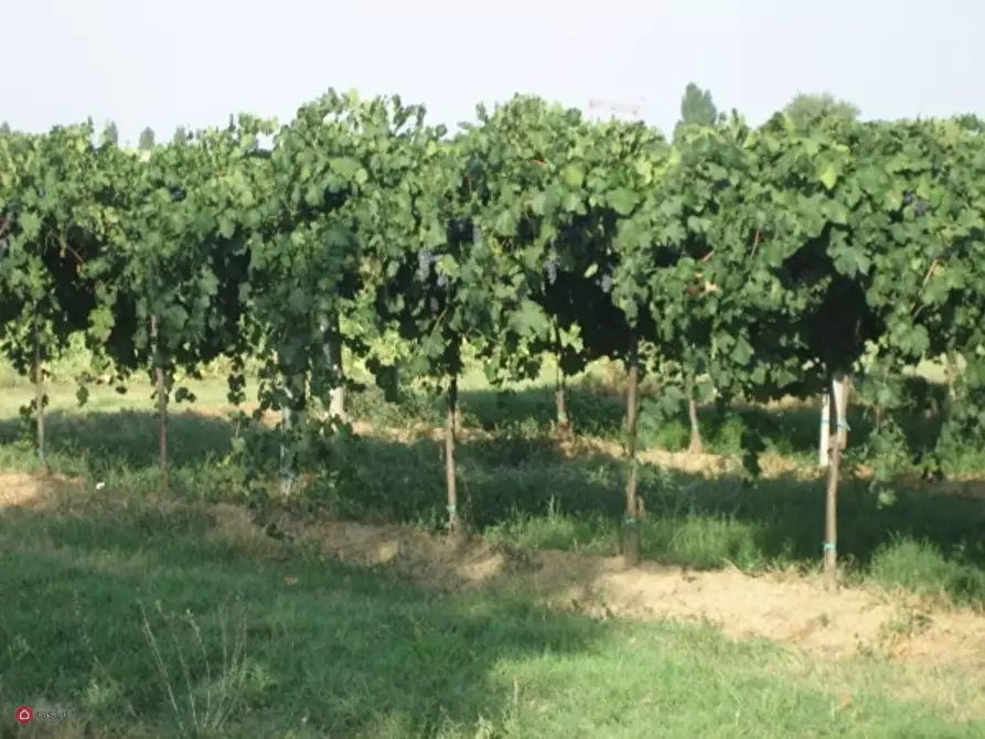 Immagine 3 di Casa indipendente in vendita  in Via Carpi Ravarino 619 a Soliera