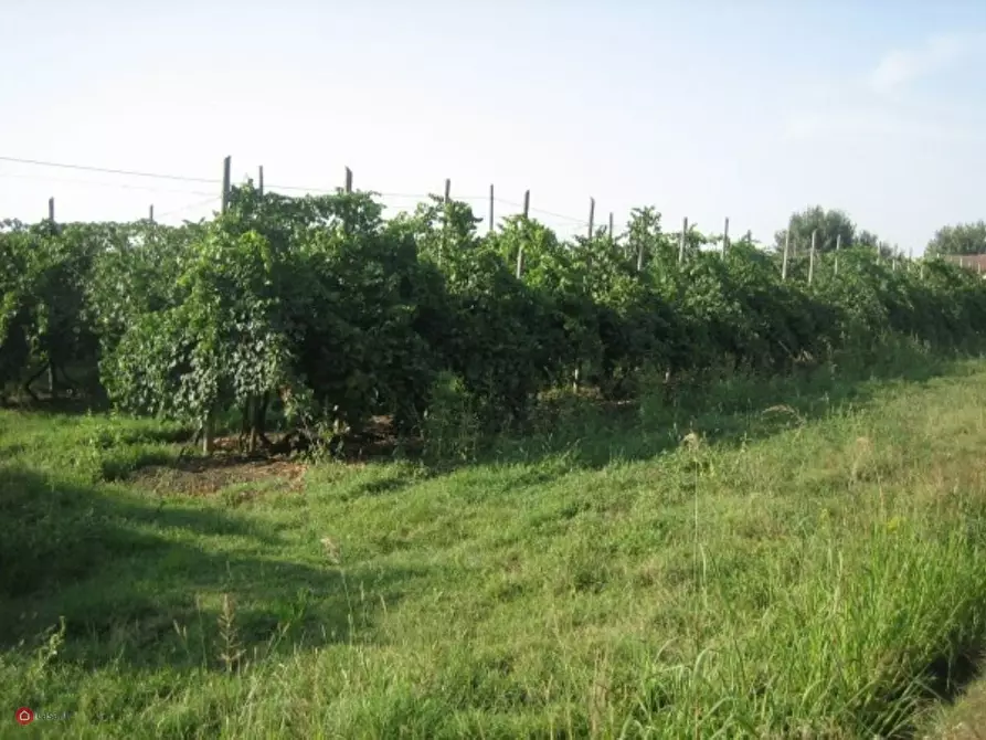 Immagine 4 di Casa indipendente in vendita  in Via Carpi Ravarino 619 a Soliera