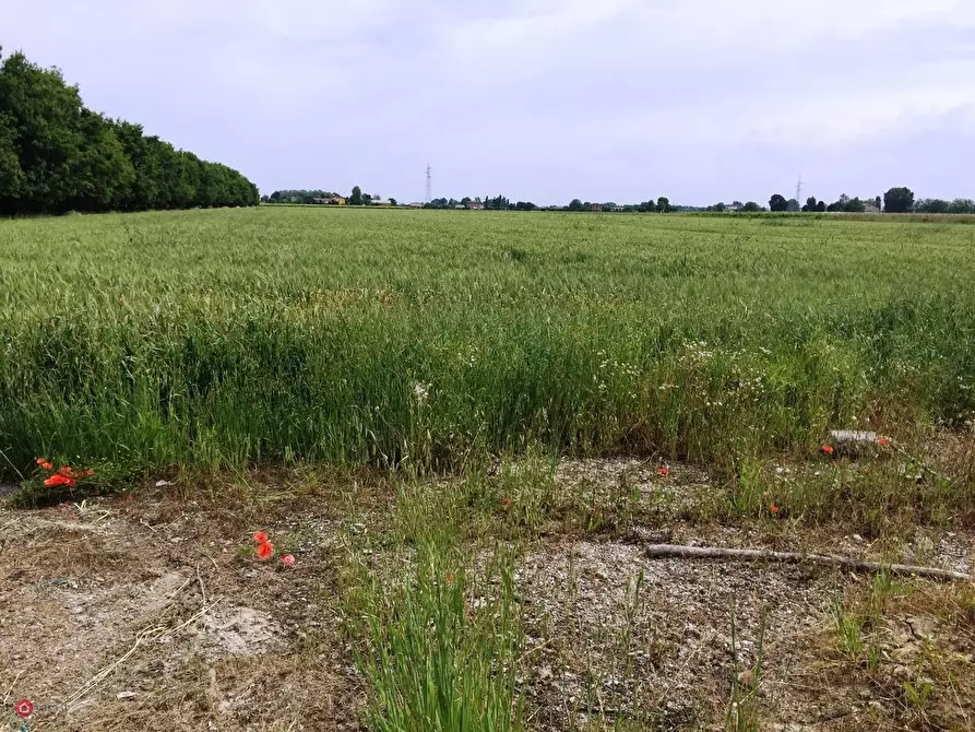 Immagine 3 di Terreno agricolo in vendita  in Via Cavata 245 a Carpi