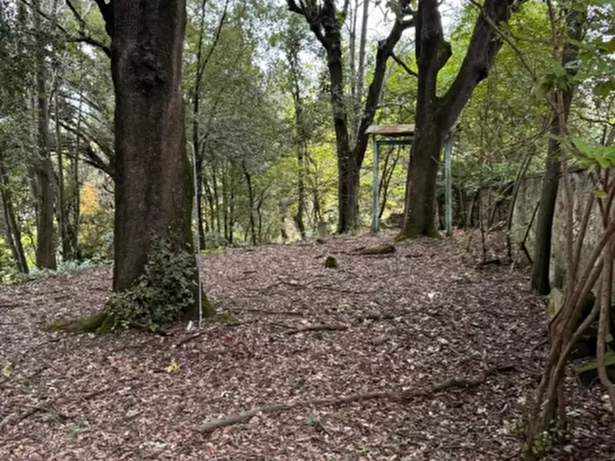 Immagine 3 di Castello in vendita  in Aretina 186 a Reggello