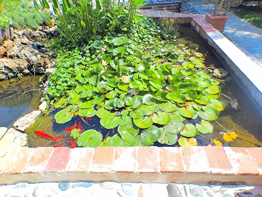 Immagine 4 di Rustico / casale in vendita  in corso roma a Pontestura