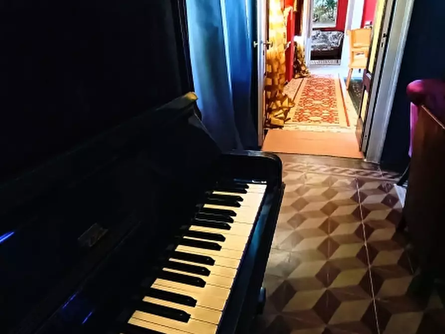 Immagine 21 di Rustico / casale in vendita  in corso roma a Pontestura