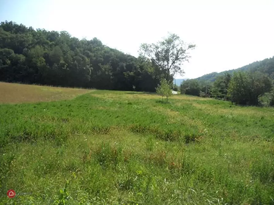 Immagine 4 di Rustico / casale in vendita  a Odalengo Grande