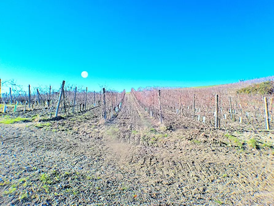 Immagine 4 di Rustico / casale in vendita  in via roma a Ozzano Monferrato