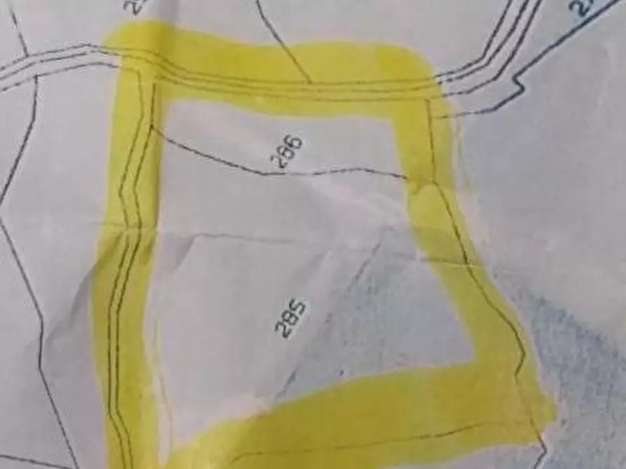 Immagine 11 di Terreno agricolo in vendita  a Celle Ligure