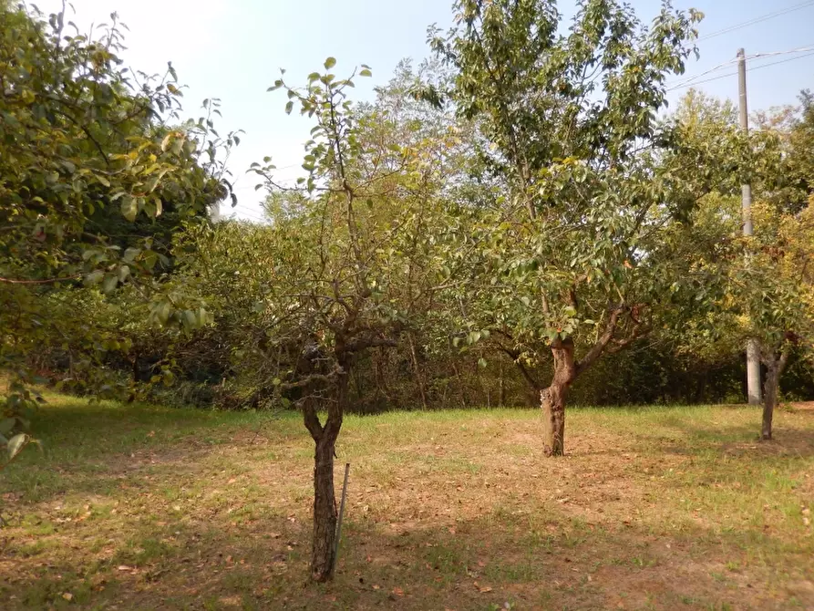 Immagine 30 di Villa in vendita  a Melazzo