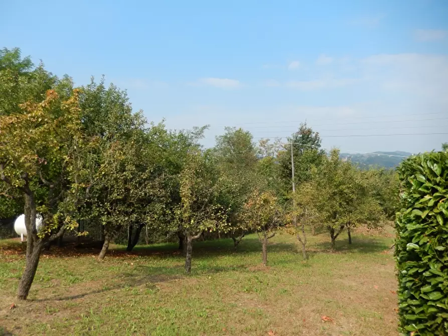 Immagine 26 di Villa in vendita  a Melazzo