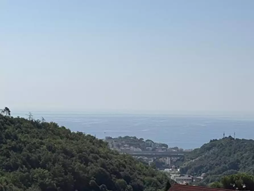 Immagine 18 di Appartamento in vendita  a Celle Ligure