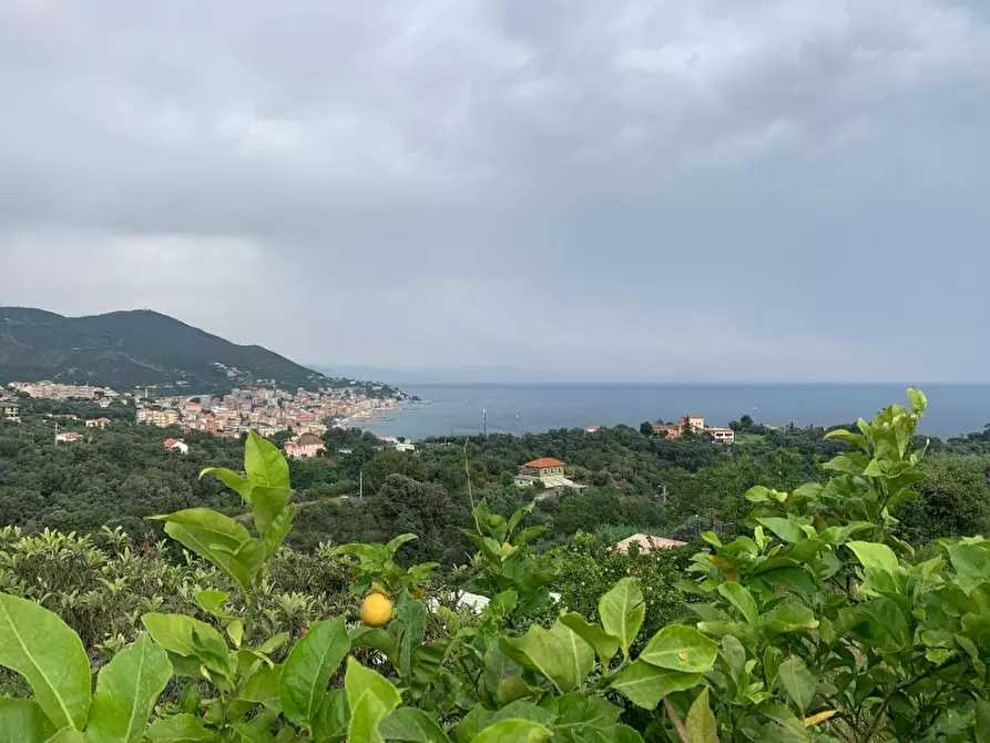 Immagine 9 di Villa in vendita  a Celle Ligure