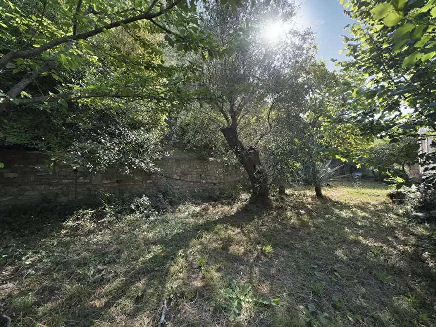 Immagine 8 di Appartamento in vendita  a Andora