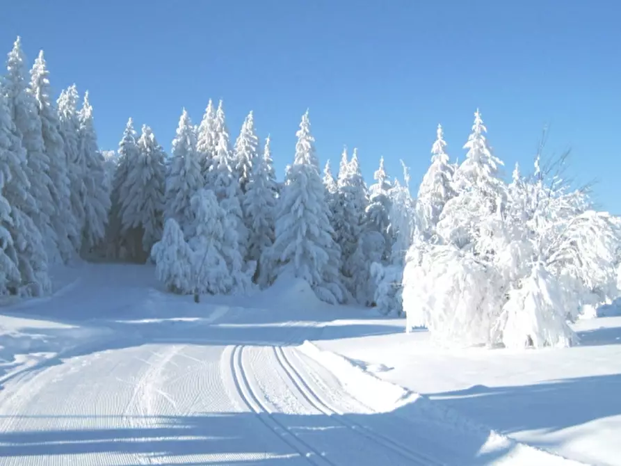 Immagine 12 di Casa bifamiliare in vendita  a Fiumalbo