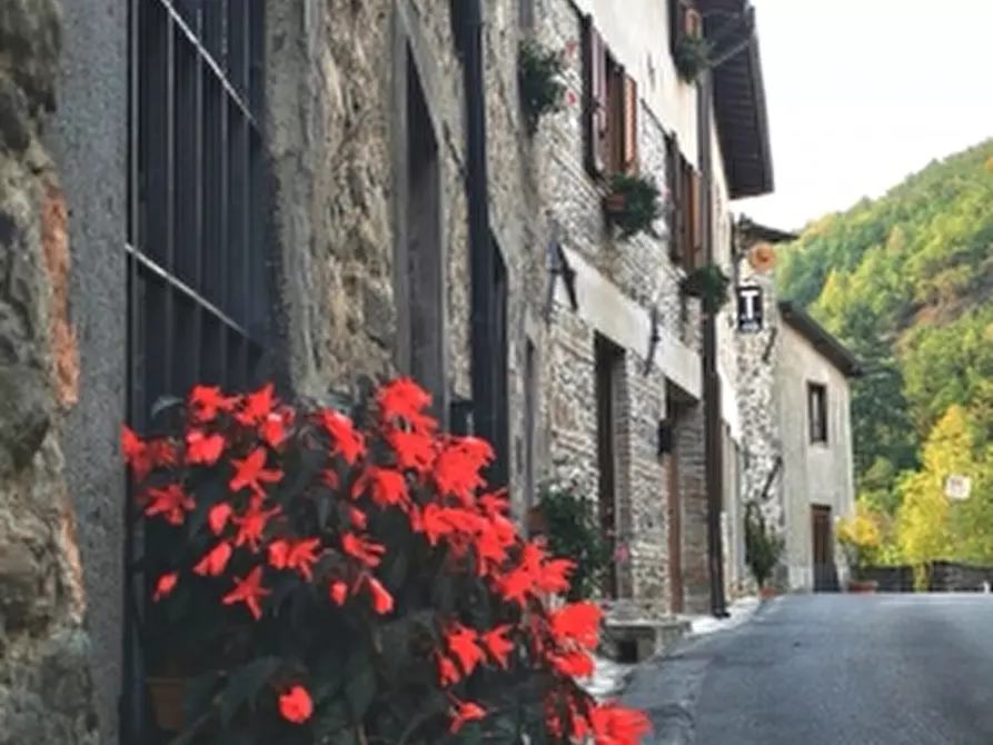 Immagine 1 di Terratetto in vendita  in Via vittorio  Emanuele a Piazza Al Serchio