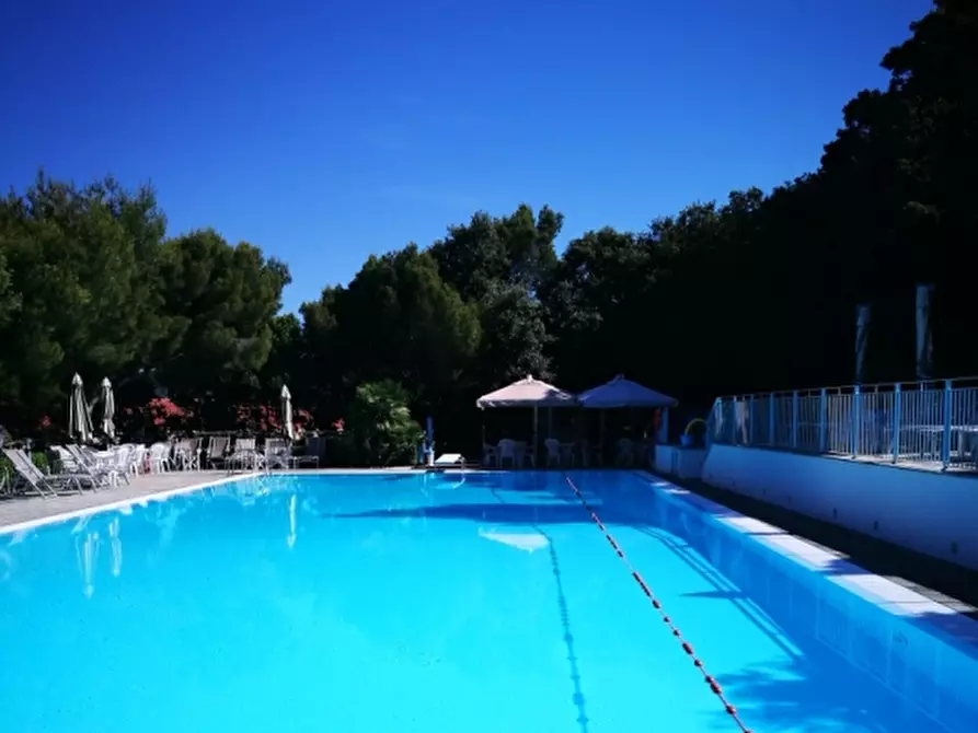 Immagine 16 di Appartamento in vendita  in Via Aurelia 710 a Rosignano Marittimo