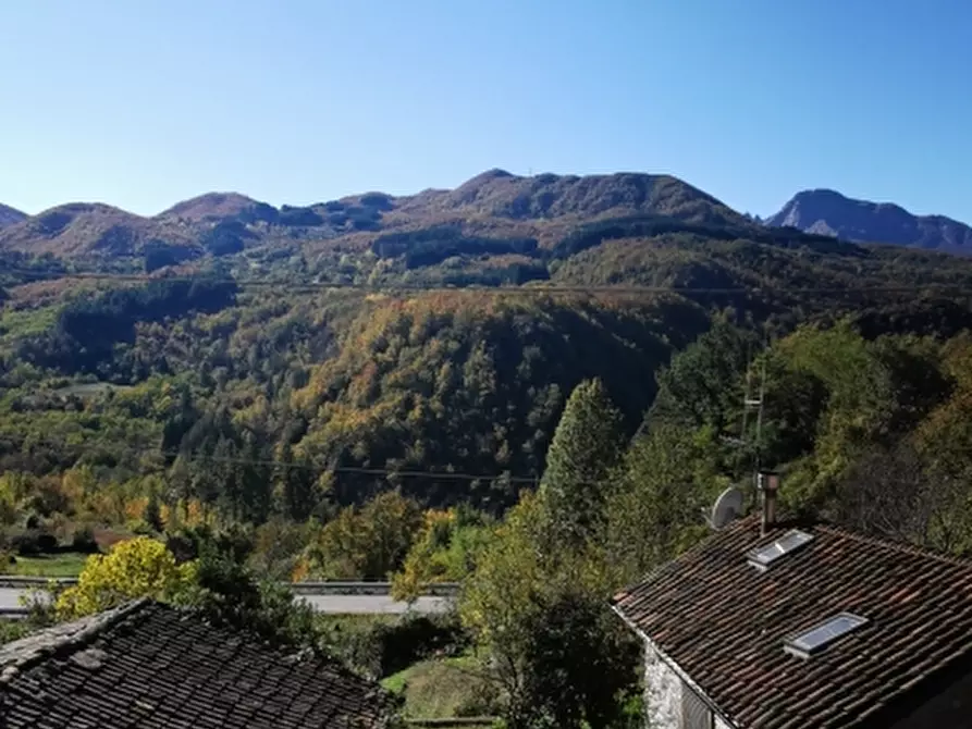 Immagine 20 di Monolocale in vendita  in Via vittorio  Emanuele a Piazza Al Serchio