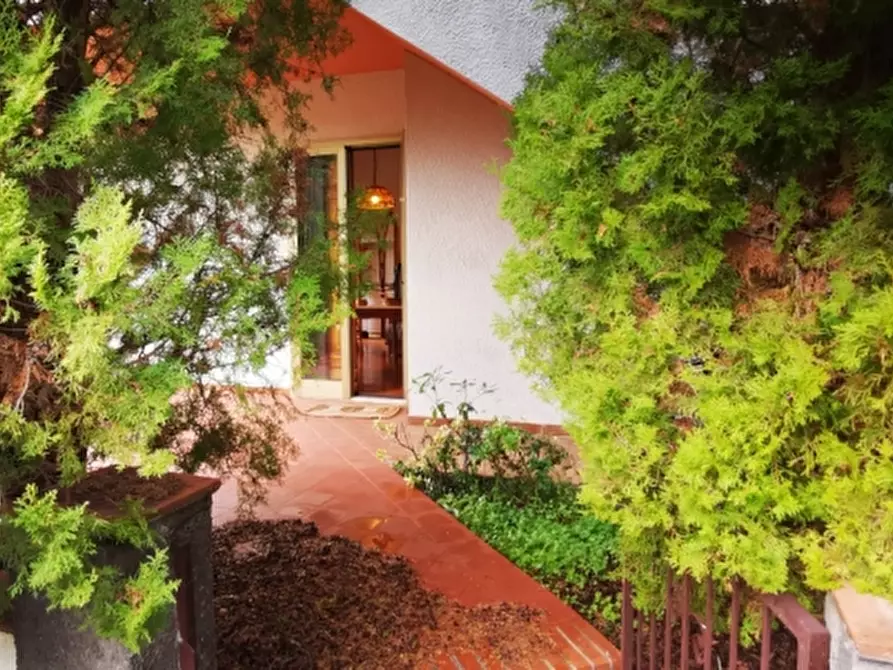 Immagine 2 di Appartamento in vendita  a Rosignano Marittimo