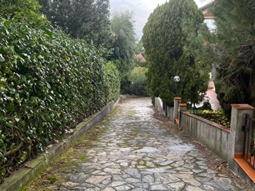 Immagine 3 di Appartamento in vendita  a Rosignano Marittimo