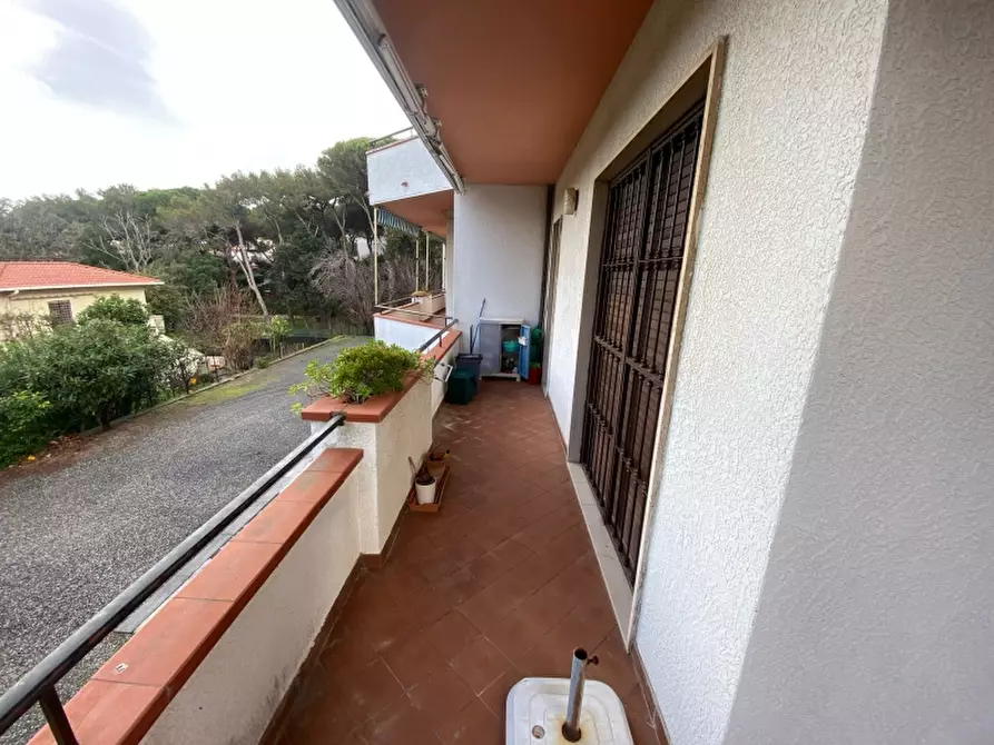 Immagine 15 di Appartamento in vendita  a Rosignano Marittimo